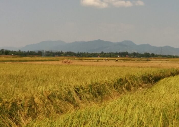 Hoi An scooter tours