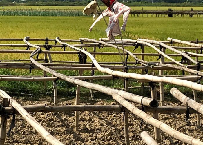 Vietnam countryside farming vegetables