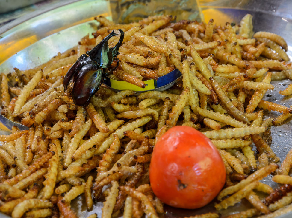 Fried bamboo worms, a unique delicacy in Chiang Mai, served with a side of dipping sauce.