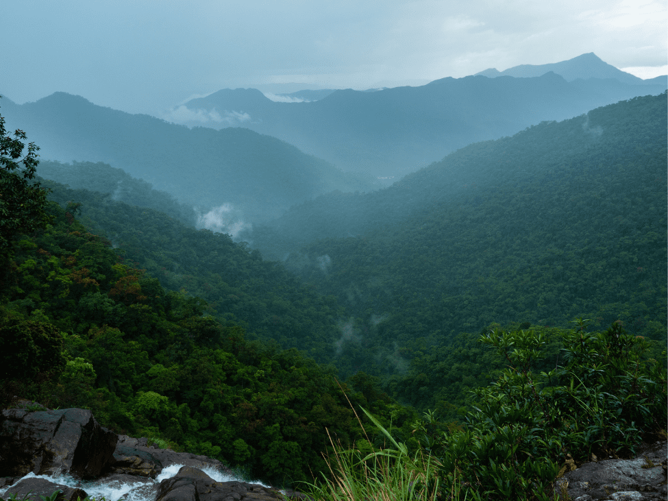 Diverse wildlife and lush forests in Bach Ma National Park