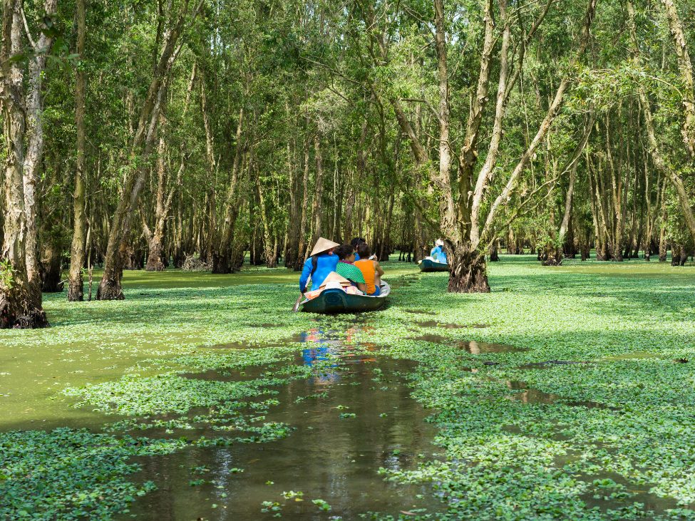 Boat tour in Mekong Delta.