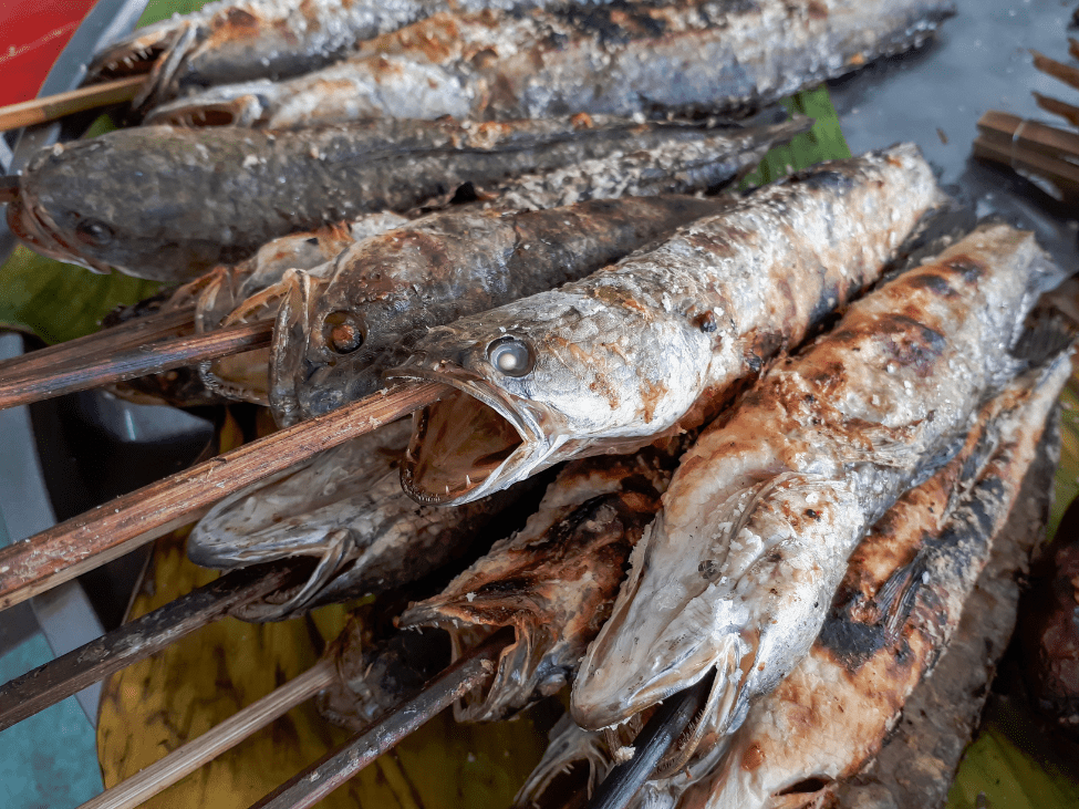 Grilled Ca Loc Nuong ready to be served.