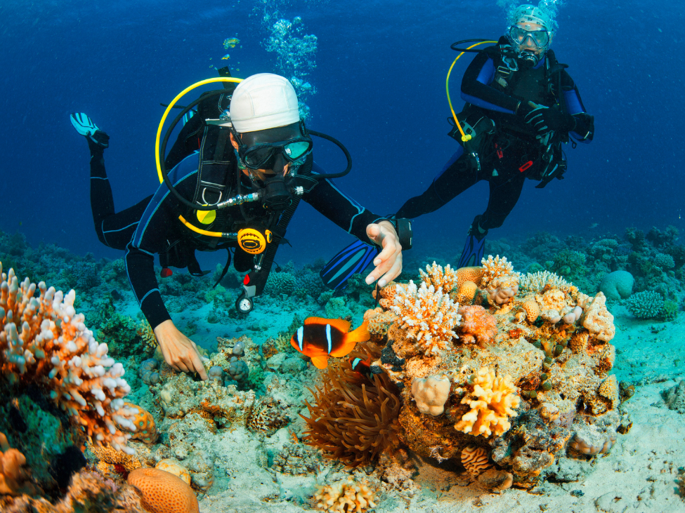 Diver exploring the underwater landscape of Cham Islands, Vietnam