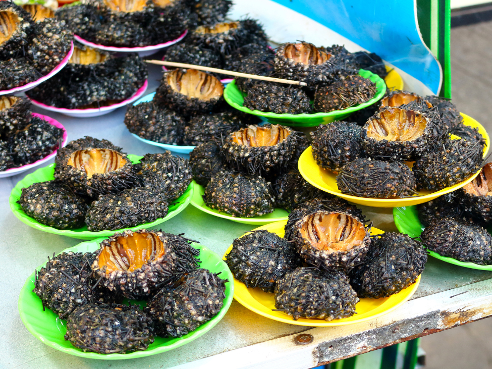 Grilled sea urchin at Phu Quoc night market, Vietnam