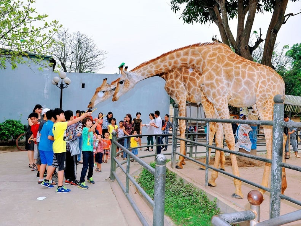 Children observing animals at Hanoi Zoo