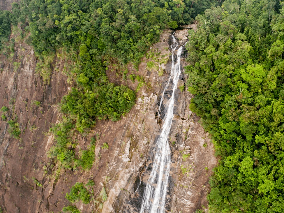 Hiking to the summit in Bach Ma National Park.