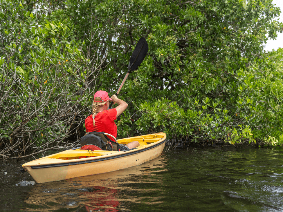 Kayaking in Cat Ba National Park.