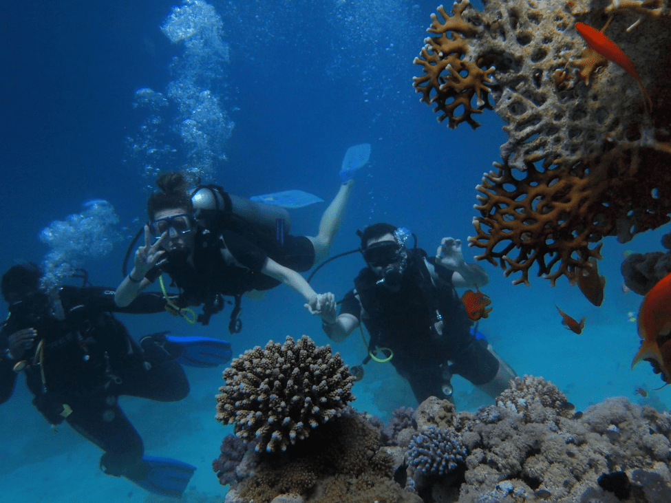 Diver exploring colorful coral reefs in Nha Trang, Vietnam