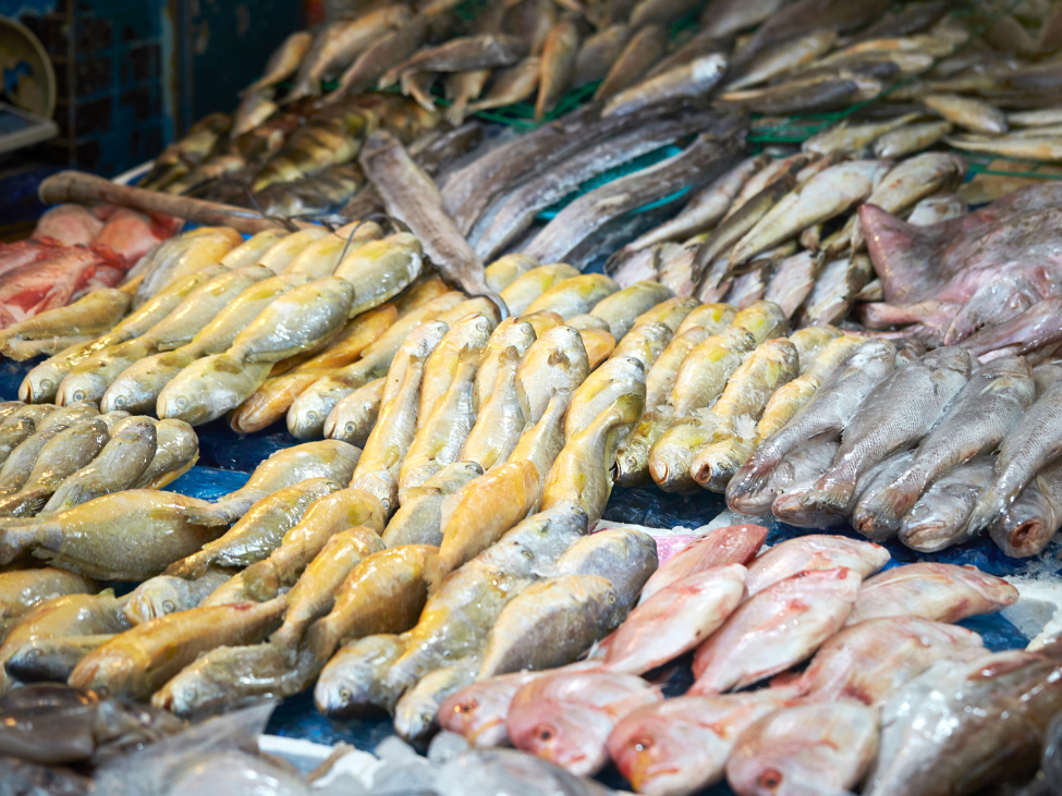 Nha Trang seafood market.