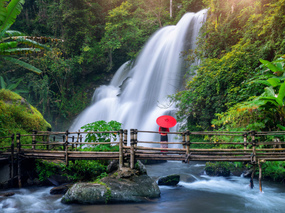 Lush forests and terraced rice fields along the Pha Dok Siew Nature Trail.