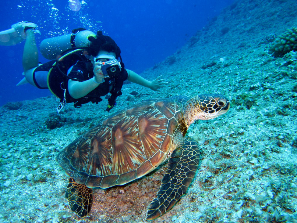 Diver exploring the An Thoi Archipelago in Phu Quoc, Vietnam