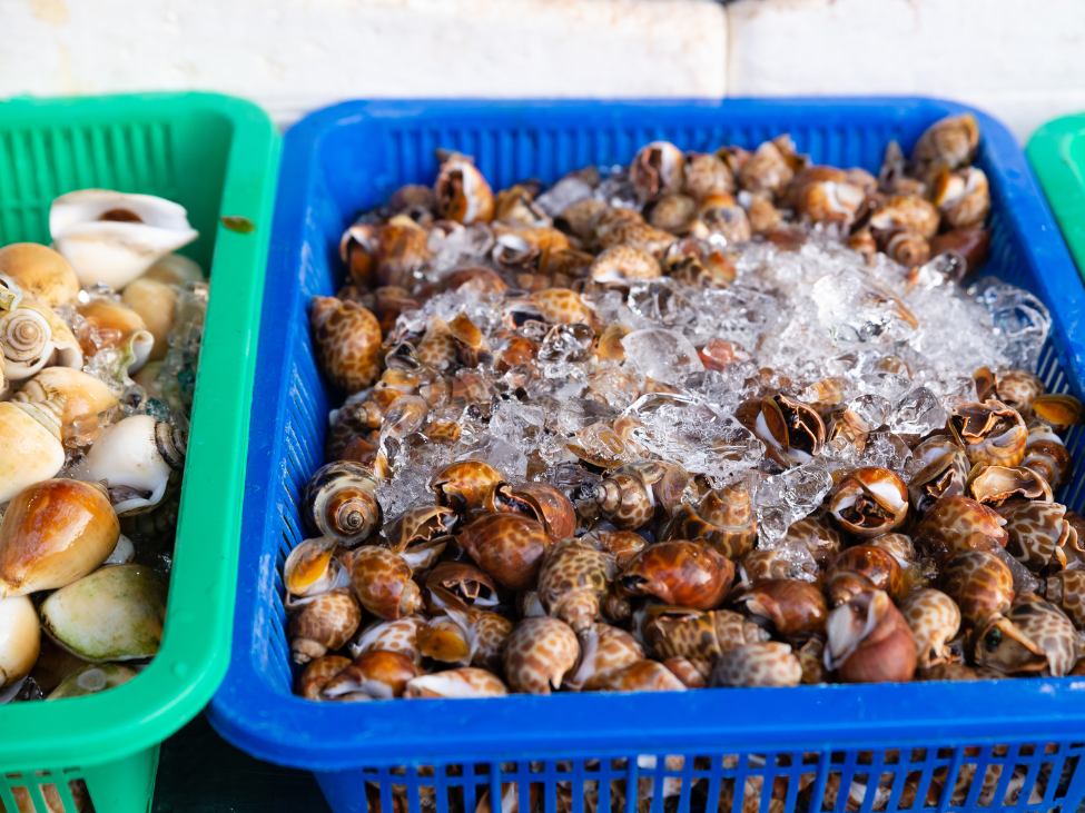 Night market in Phu Quoc.