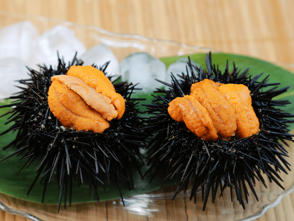 Sea urchin served raw.