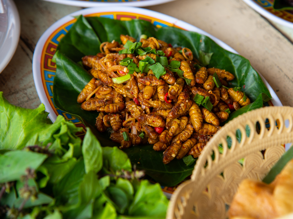 Nhộng - Vietnamese silkworm pupae