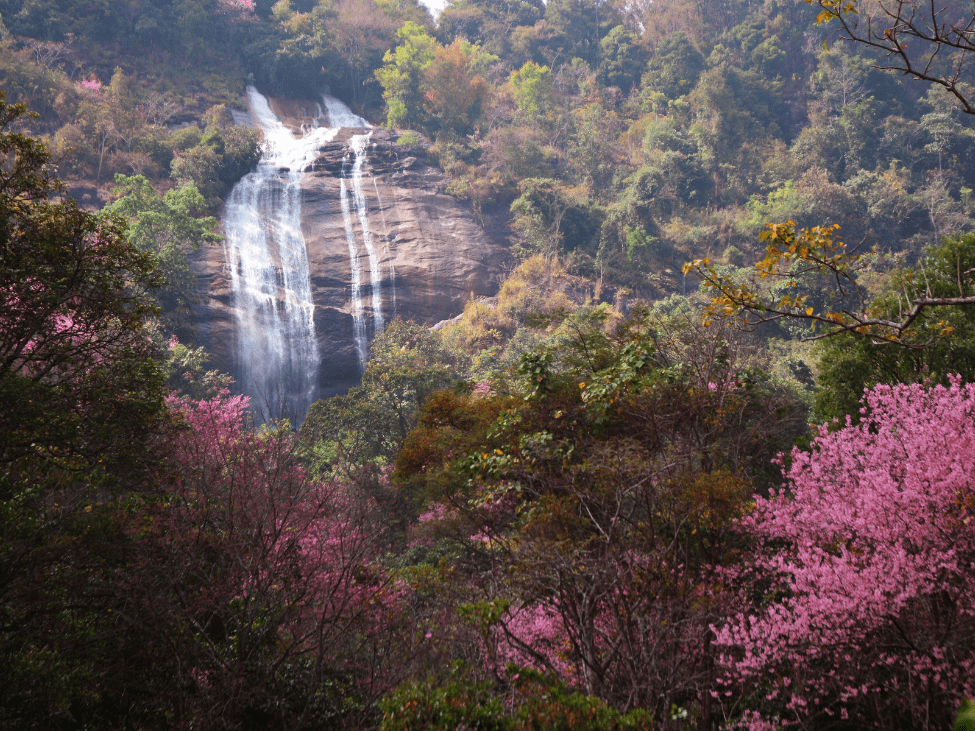 The twin cascades of Siriphum Waterfall surrounded by dense forest in Doi Inthanon National Park.