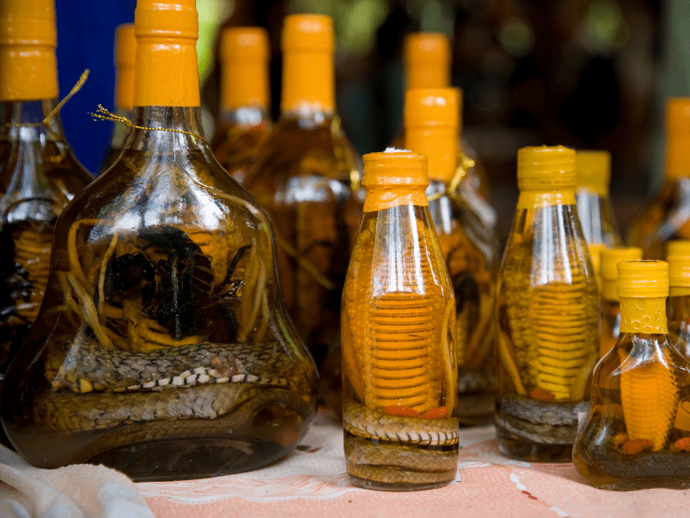 Rượu Rắn - Vietnamese snake wine