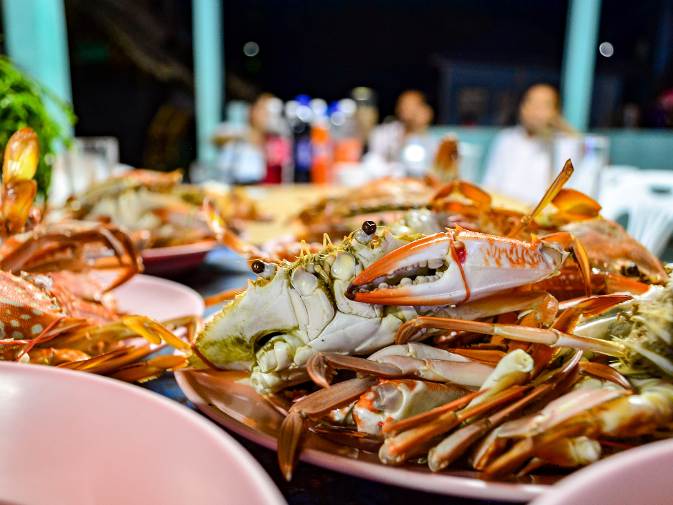 Steamed crab on a plate.