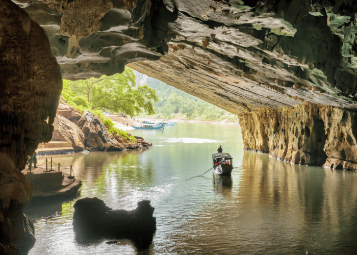 Phong Nha-Ke Bang National Park: A Wildlife Lover's Paradise