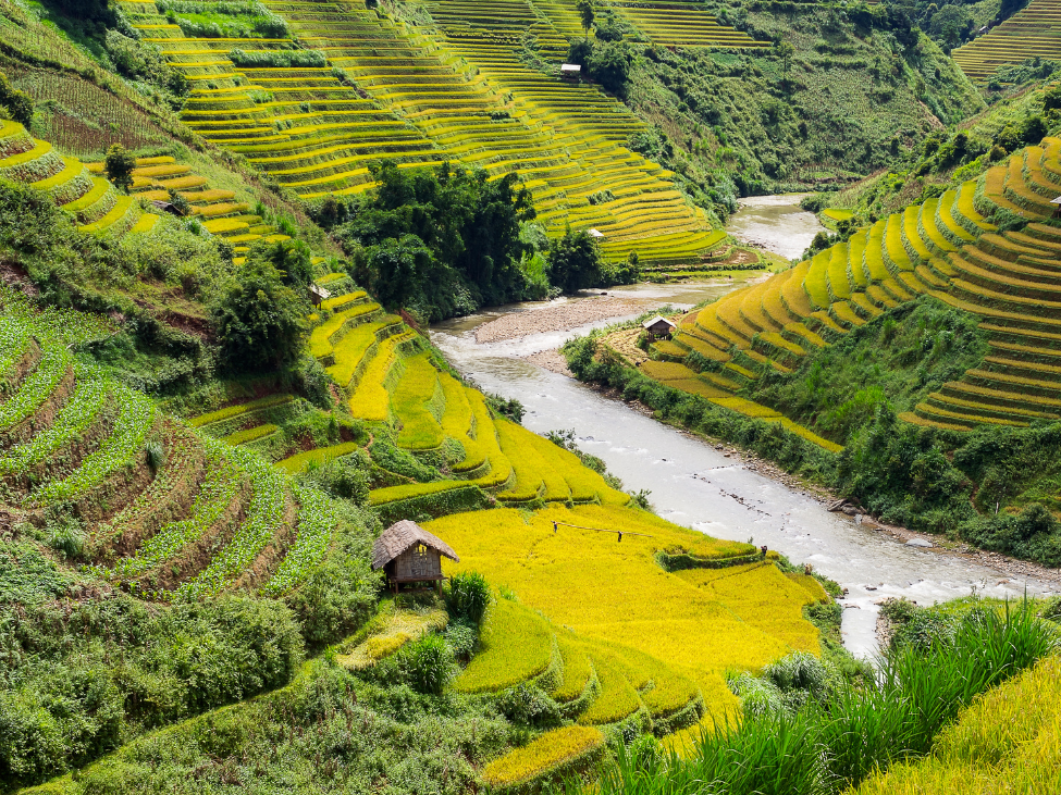 Couple trekking through rice terraces in Sapa