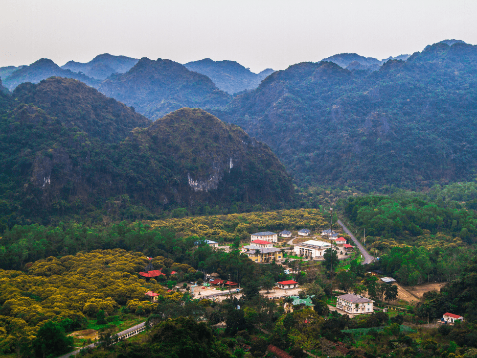 Lush greenery and a serene view from Ba Vi National Park, Vietnam.