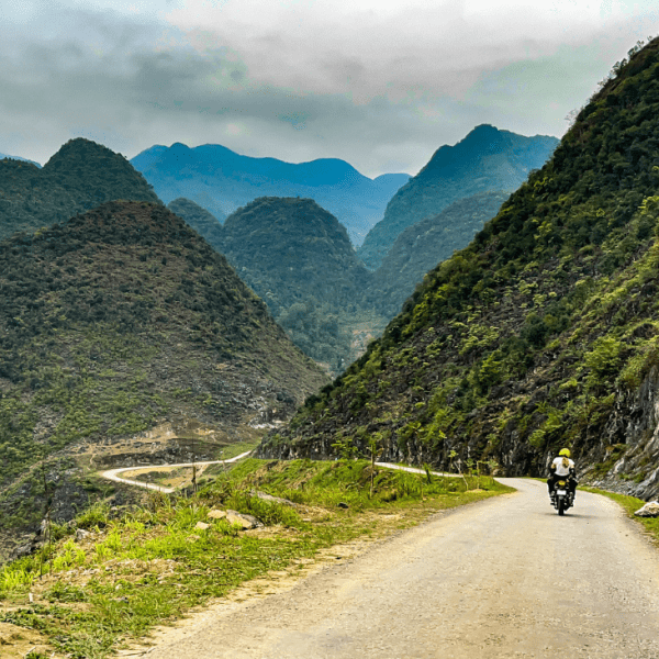 Breathtaking rice terraces and mountain views along the Ha Giang Loop in northern Vietnam.