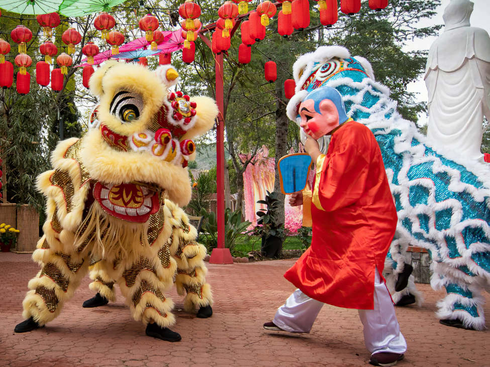 Traditional lion dancers performing in the streets of Hanoi during the Mid-Autumn Festival, bringing joy and good luck.