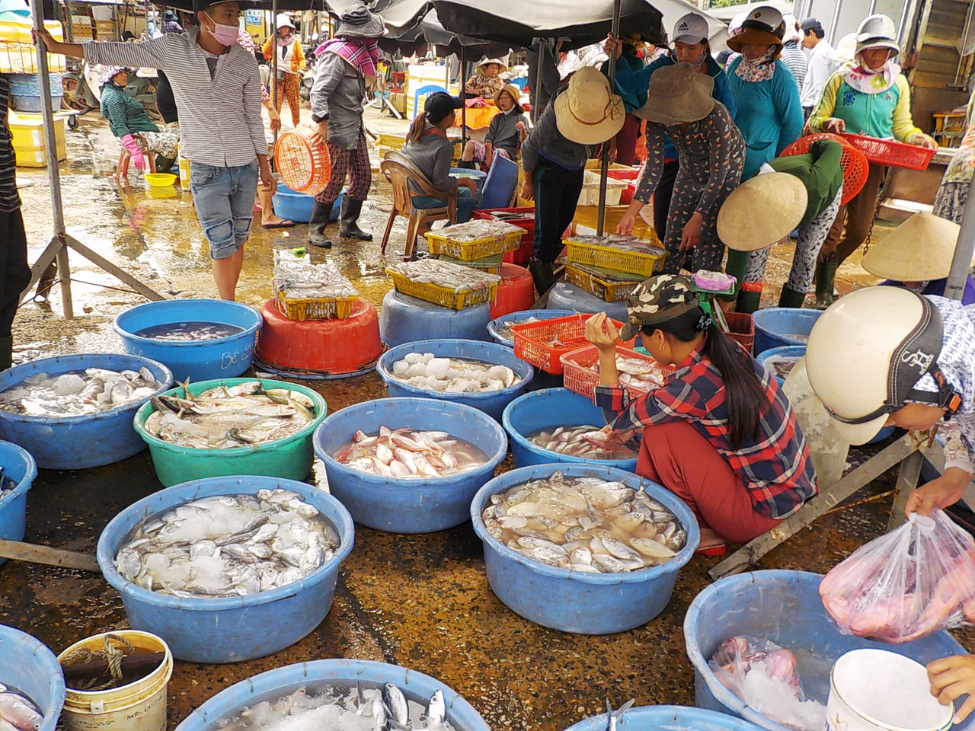 Vespa riders exploring a bustling fish market in Hoi An along the Thu Bon River.