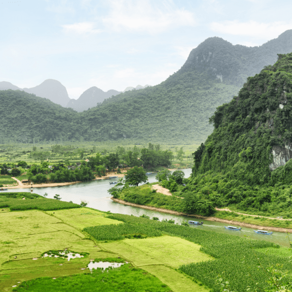 Limestone karst formations in Phong Nha Ke Bang National Park.