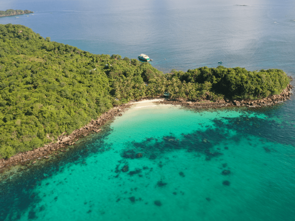 Tropical coastal forest at Phu Quoc National Park.