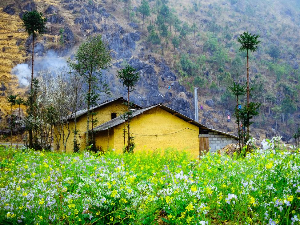 Trekking path leading through a traditional ethnic minority village in Ha Giang.