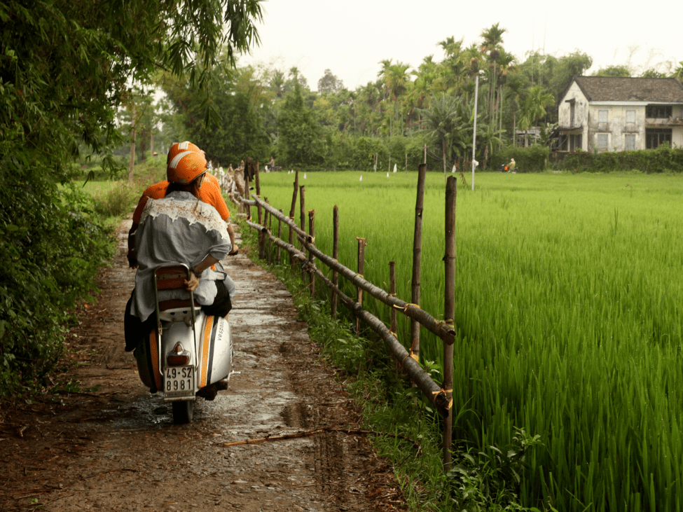 A view from the back of a Vespa, cruising through the lush green fields of Cam Kim Island.