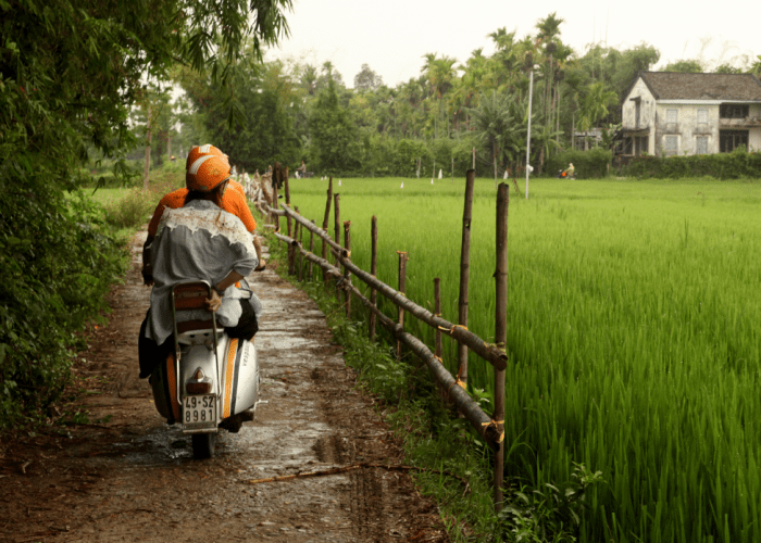 A view from the back of a Vespa, cruising through the lush green fields of Cam Kim Island.