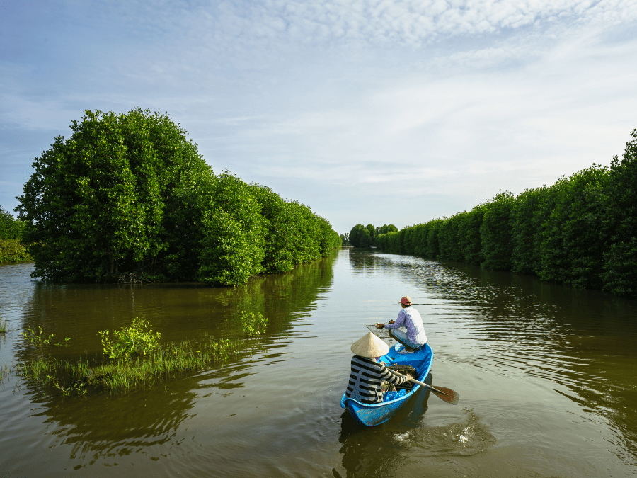 Scenic view of the Mekong Delta landscape with lush greenery and river waterways.