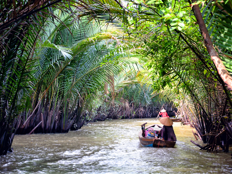 raditional boat cruising through the Mekong Delta River, surrounded by lush greenery.