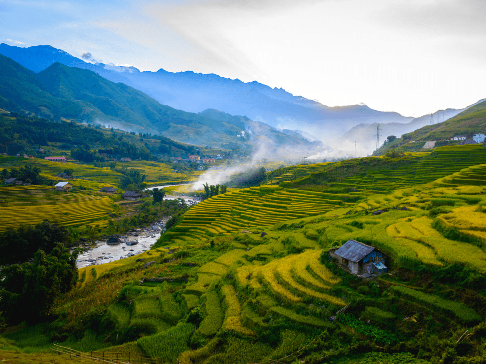 Misty terraced rice fields in Sapa during winter