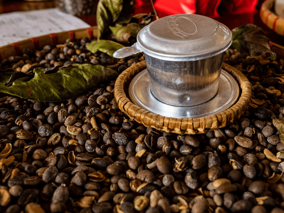 Vietnamese coffee beans harvested in the highlands.